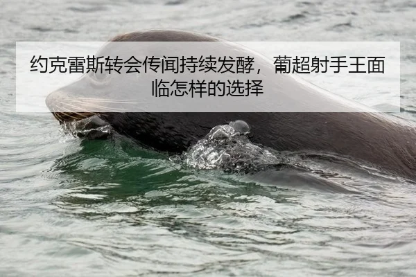 约克雷斯转会传闻持续发酵，葡超射手王面临怎样的选择